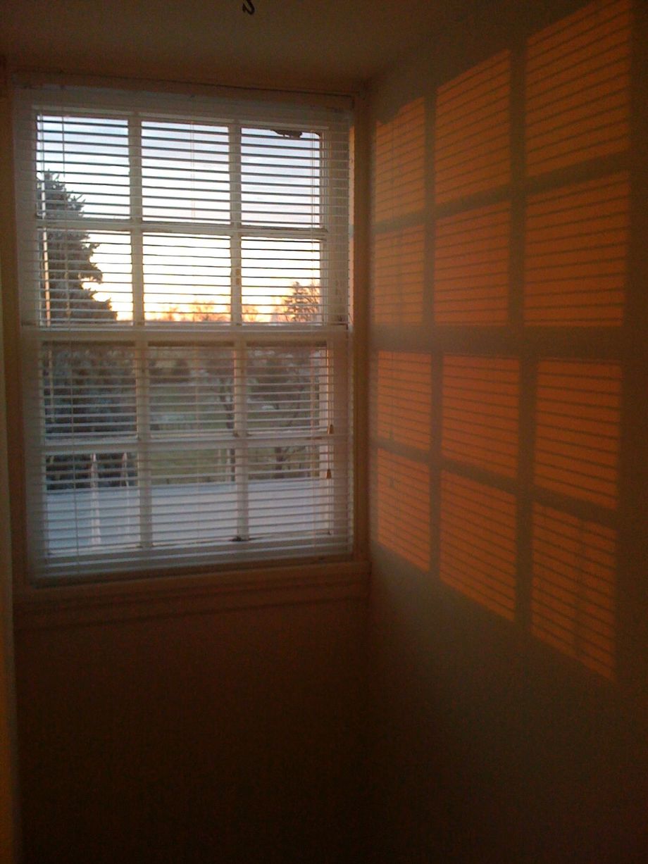 The light of a dim winter sunrise case through an old, paned glass window hung with blinds and cast on to the adjacent wall. Quiet, contemplative; an expectant hush. 