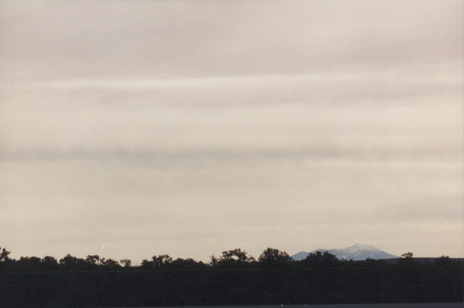 A grainy film photograph. The bottom of the frame is lined with dark trees; at the bottom right a snow capped mountain peak peeks above the treetops. Above it all, bands of gray clouds coat the sky, here darker, here lighter, fading as they reach the horizon. 